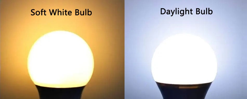 Soft White bulb vs Daylight bulb comparison